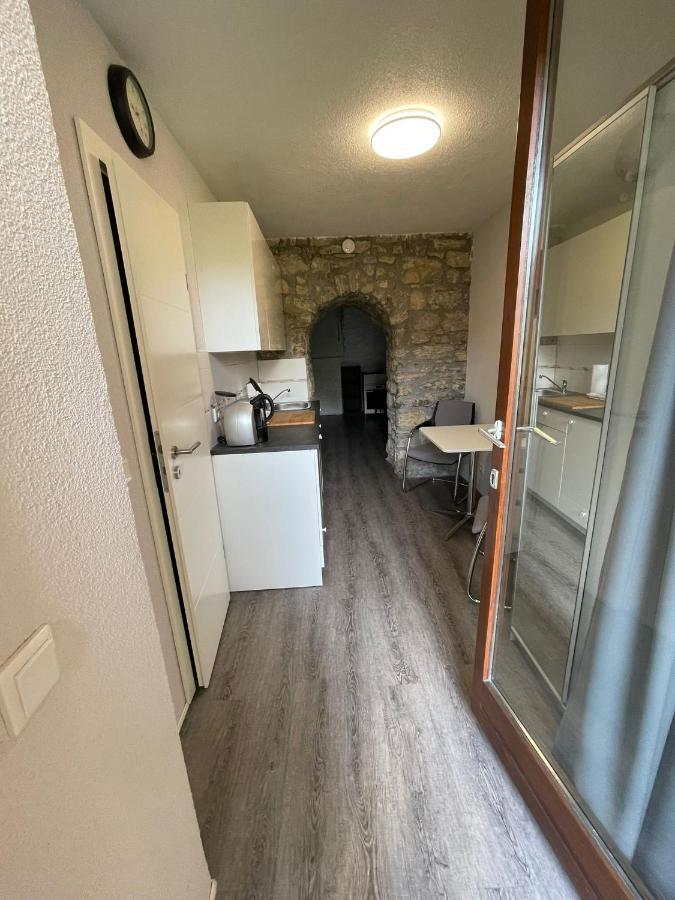 City Apartment Bad Saeckingen Mit Parkplatz Экстерьер фото