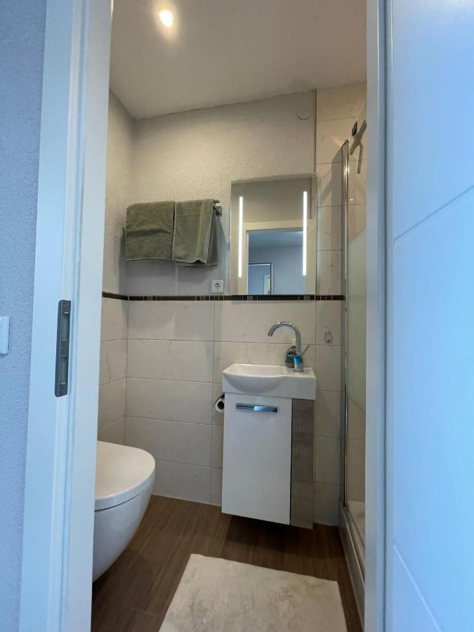 City Apartment Bad Saeckingen Mit Parkplatz Экстерьер фото