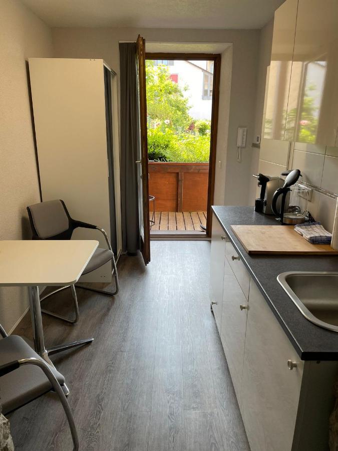City Apartment Bad Saeckingen Mit Parkplatz Экстерьер фото